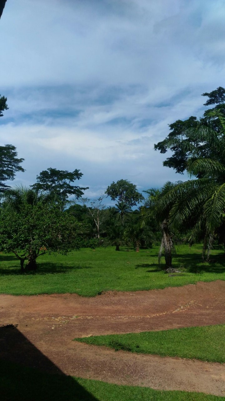 Il canto della terra rossa di Mungbere - Congo