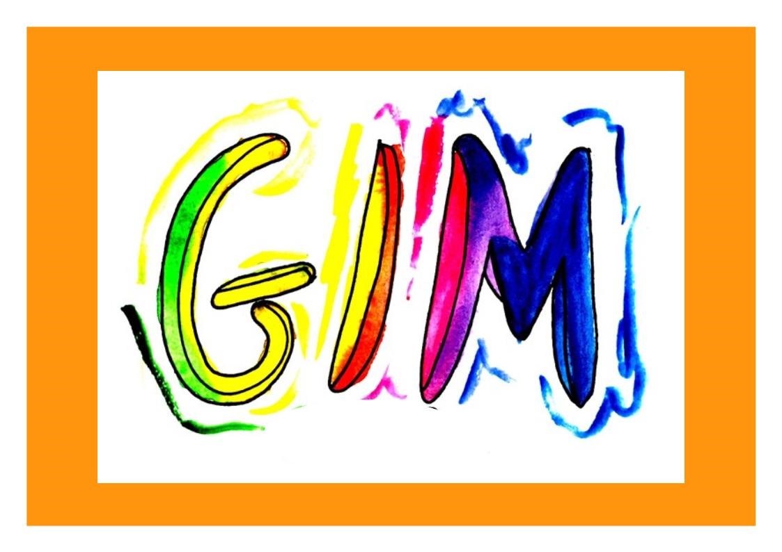 GIM 2020